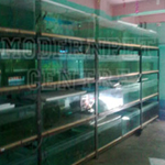 Ornamental Fish Exporters