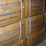 ornamental fish export